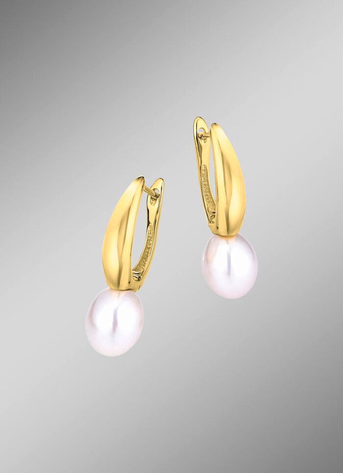 Oorbellen zilver 925/- 