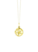 voetbalfans 
