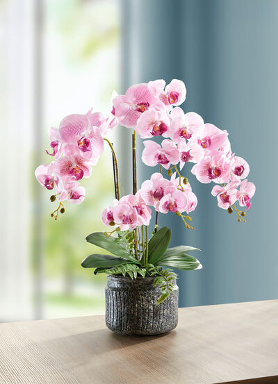 Orchidee&euml;n arrangement in een pot 