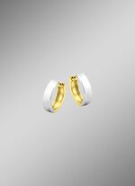 Dubbelzijdige creolen in twee kleuren 