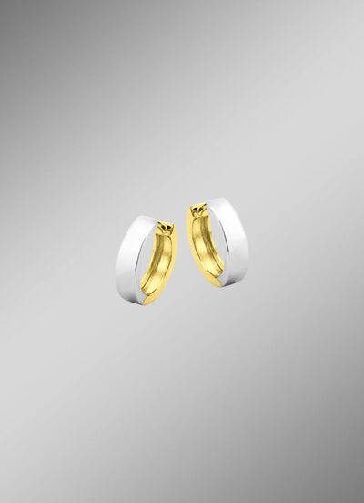 Dubbelzijdige creolen in twee kleuren 