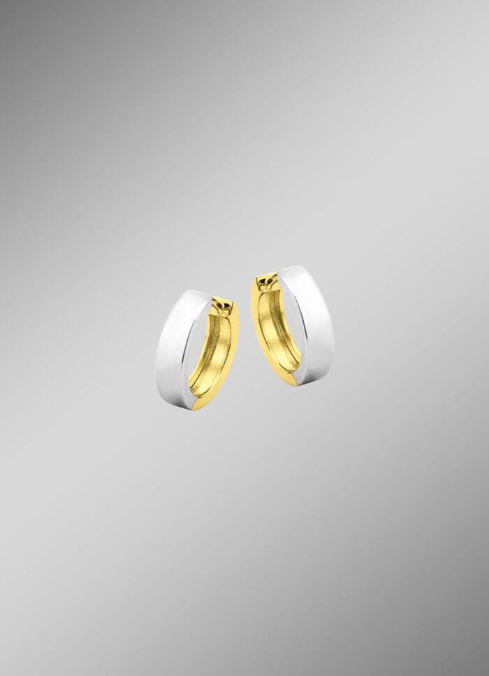 Dubbelzijdige creolen in twee kleuren 