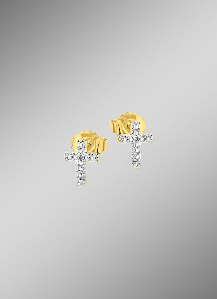 Populaire oorbellen met 2 diamanten 