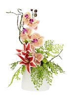 Charmant orchidee&euml;narrangement in een vaas 