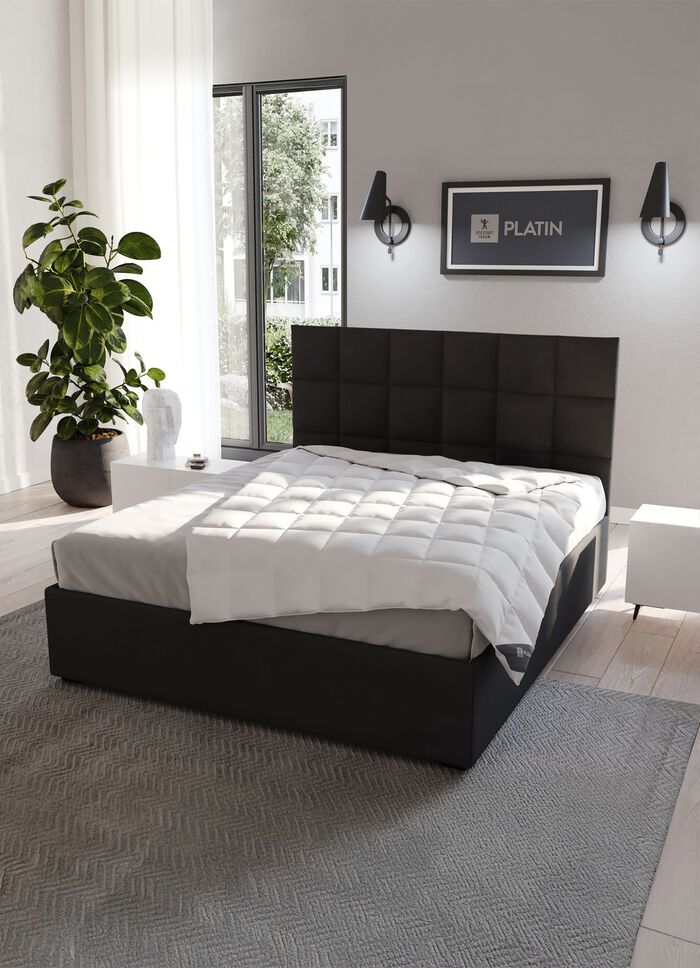 Downprogramma platina van Spessarttraum 