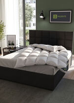 Hoogwaardig beddengoedassortiment wilde eendendons van Spessarttraum - de beste kwaliteit voor een goede nachtrust ZILVER