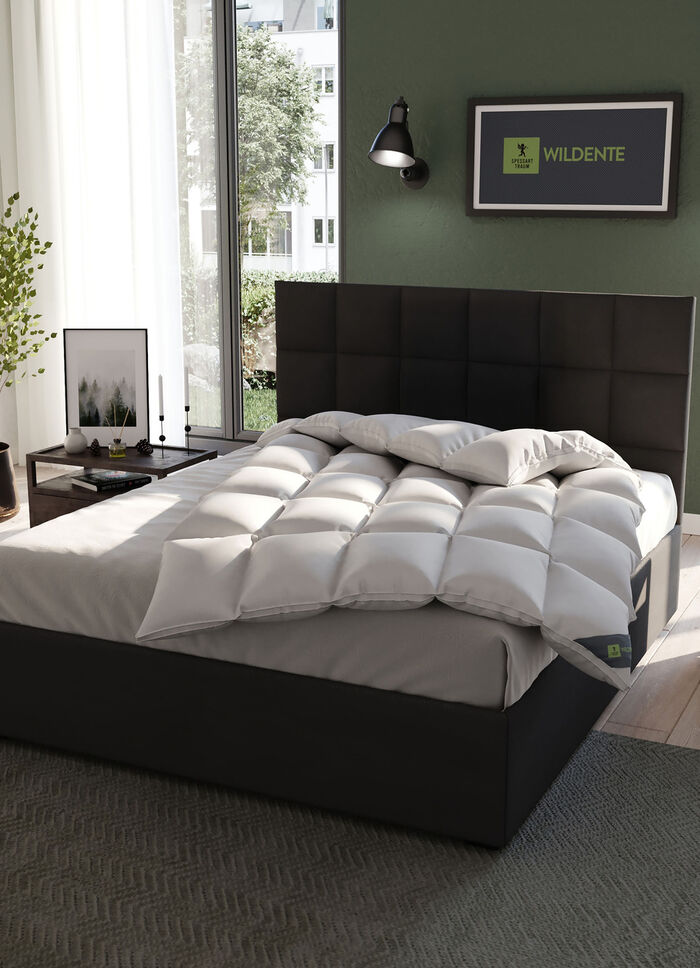 Hoogwaardig beddengoedassortiment wilde eendendons van Spessarttraum - de beste kwaliteit voor een goede nachtrust ZILVER