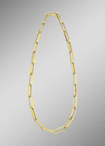 Interessante schakelketting van goud 