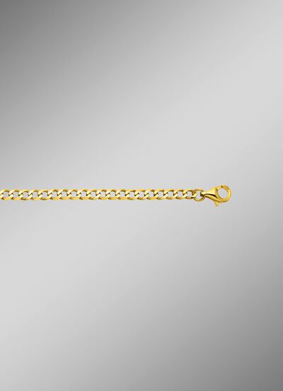 Gouden stoeprandketting 