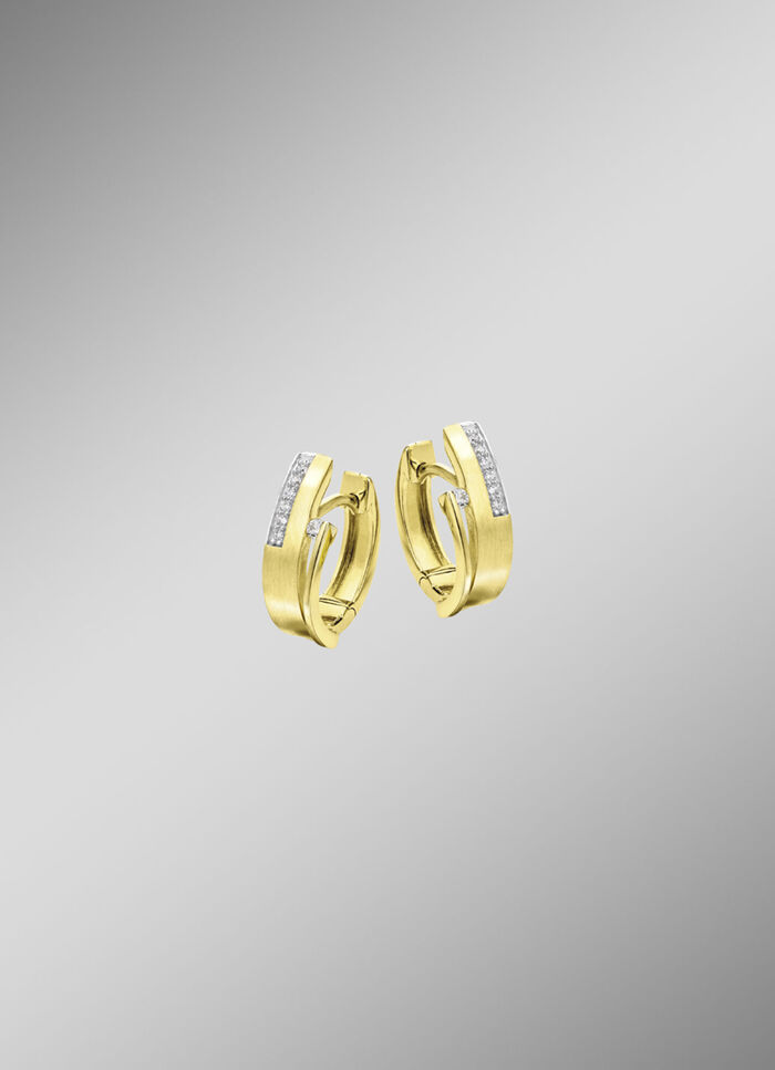Elegante creolen 