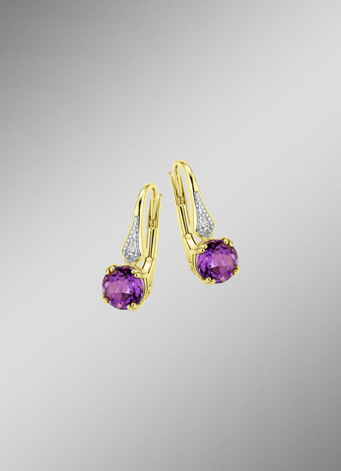 Glamoureuze oorbellen 