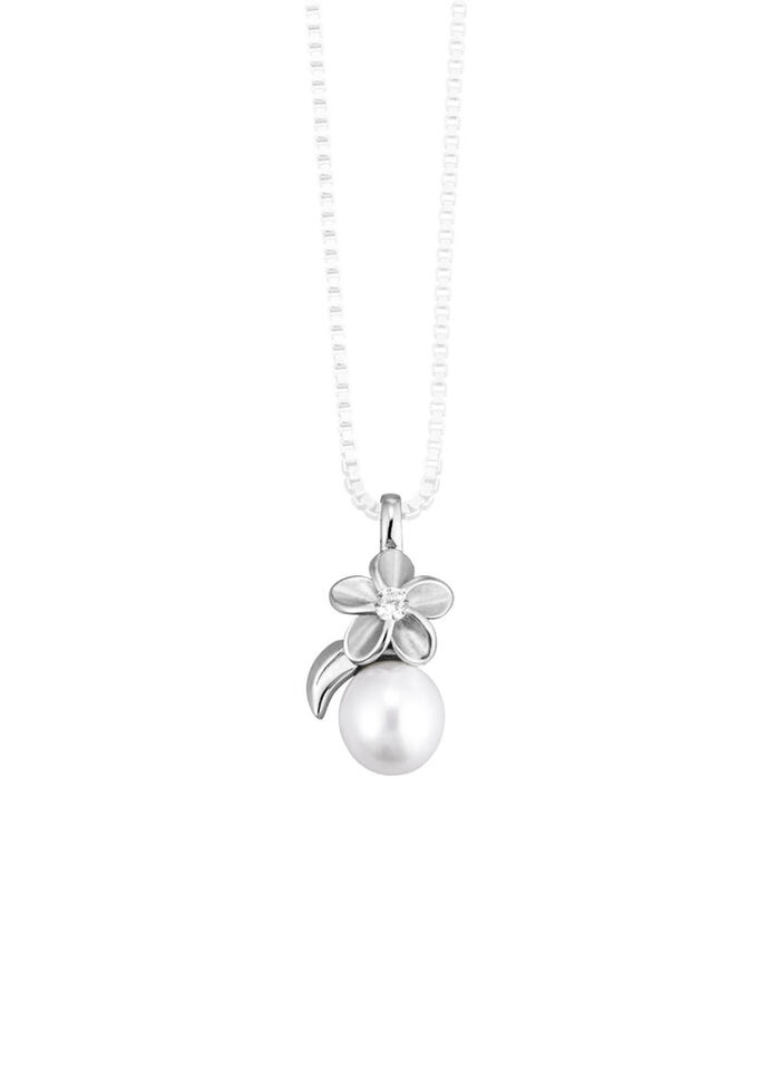 Chique hanger 