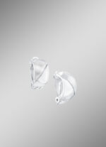 Clip-oorbellen, hoogglans/gesatineerd 