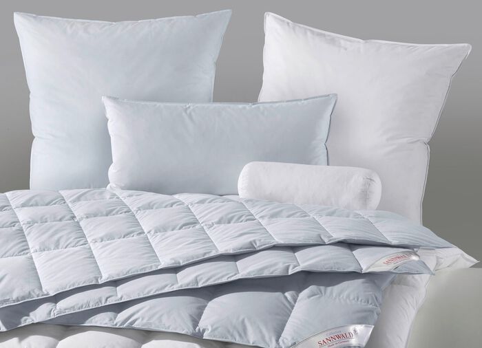 Ganzendonskussenprogramma van Sannwald 