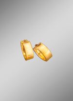 Hoogglanzende klapcreolen 