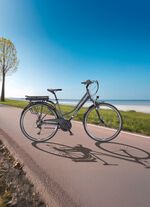 Telefunken XT485 elektrische trekkingfiets 