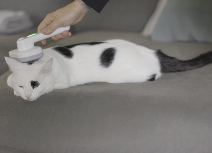 "PiddiPet IonBrush" borstel voor dierenhaar 