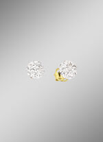 Oorknopjes in tweekleurig 