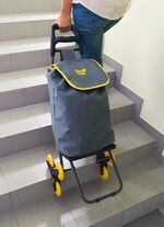 De Climb Cart boodschappenscooter 