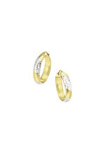 Oorringen zilver 925/- 