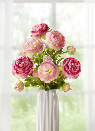 Ranonkeltak, set van 6 