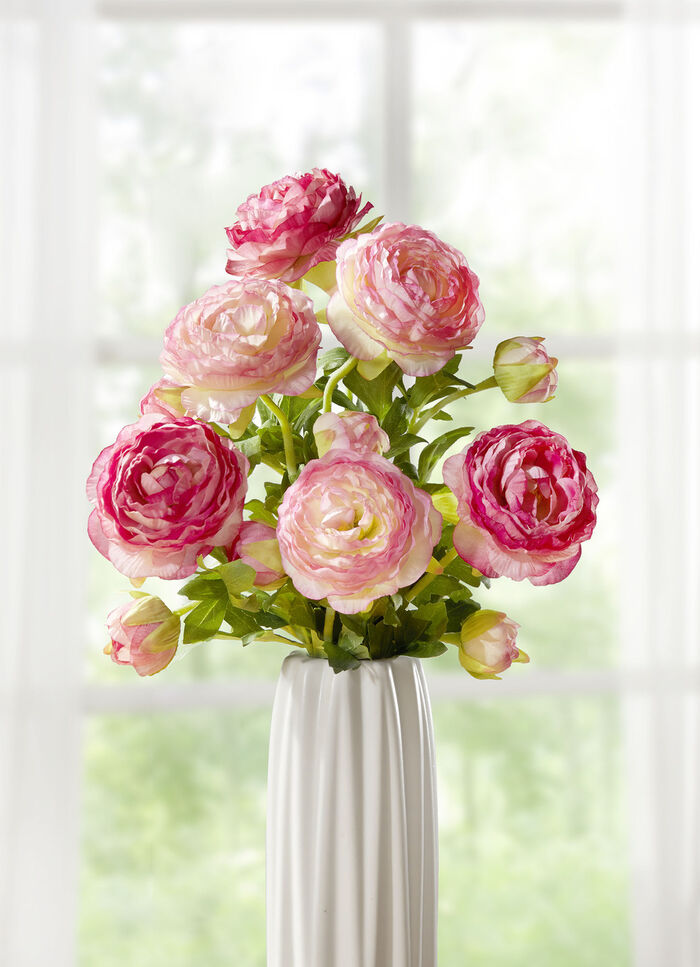 Ranonkeltak, set van 6 