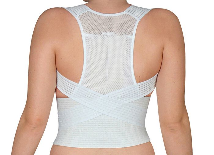 Hydas rechte houder met steunriem 