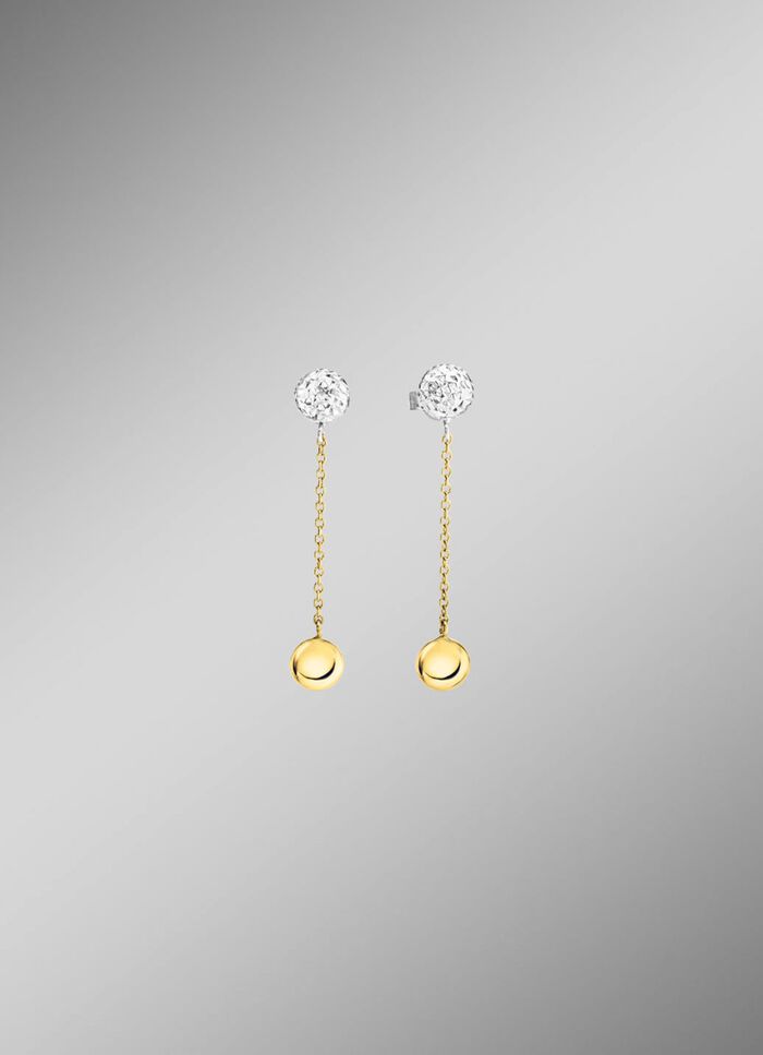 Prachtige oorbellen in twee kleuren 