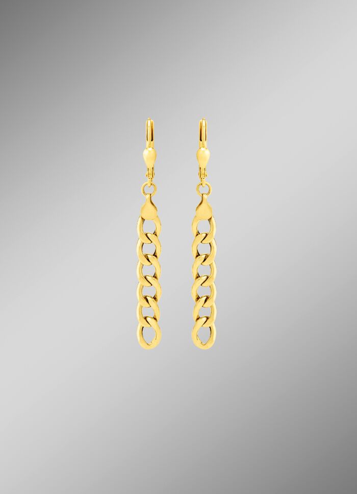 Lange oorbellen in een kinketting-design 