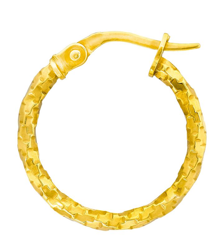 Gedraaide gouden oorbellen 