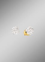 Oorknopjes in tweekleurig 