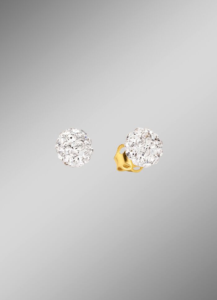 Oorknopjes in tweekleurig 