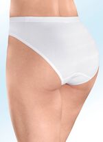 Speidelset van vier slips 