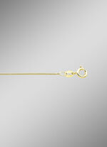 Vergulde zilveren slangenketting 