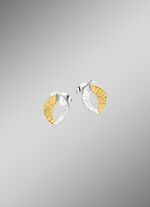 Tweekleurige oorbellen 