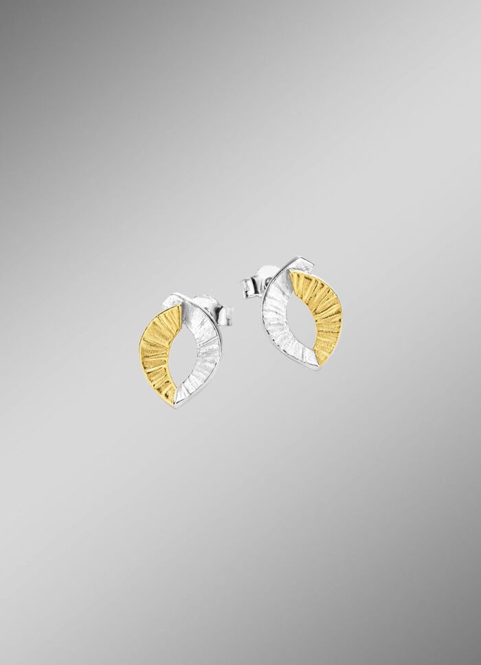 Tweekleurige oorbellen 