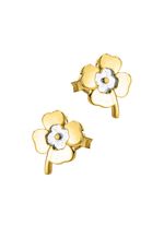 Tweekleurige klavertje-oorbellen 