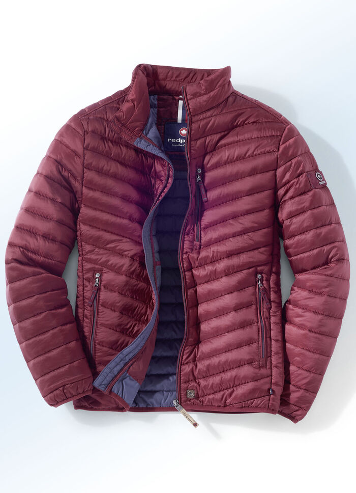 "Redpoint" gewatteerde blouson in 6 kleuren BORDEAUX