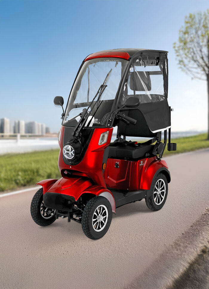 Rolektro Deisla Batterij Quad 