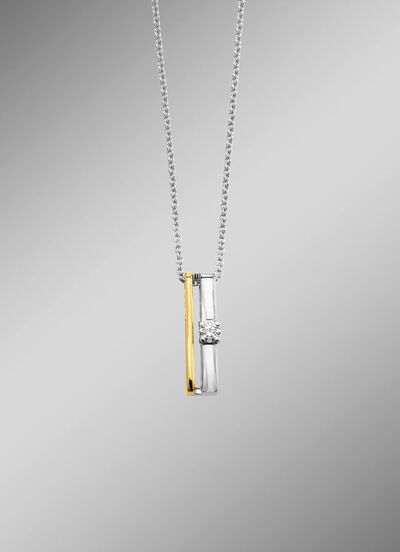 Tijdloze elegantie: hanger met diamant en ankerketting 