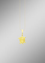 Grote schildpad hanger 