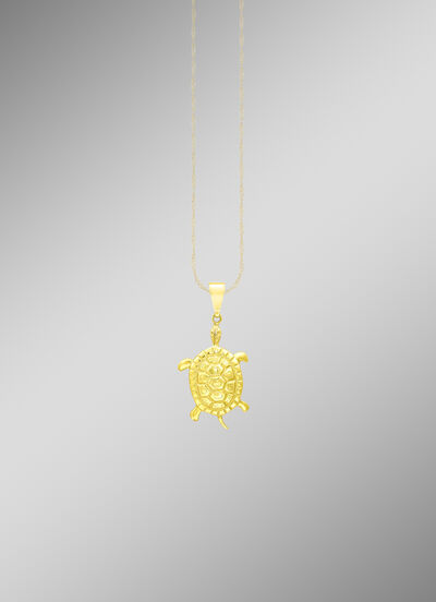 Grote schildpad hanger 