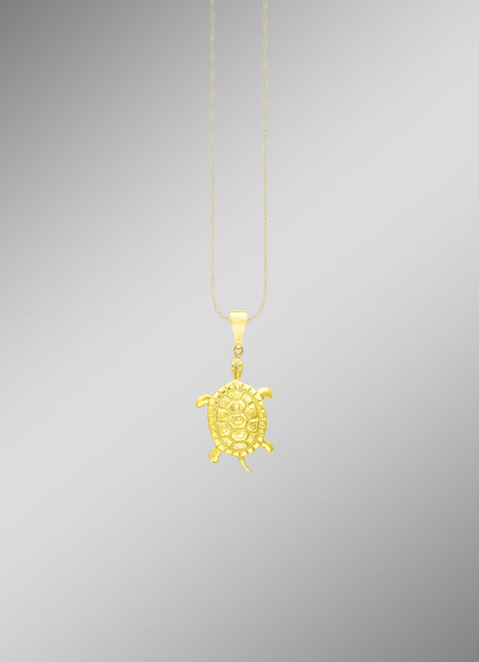 Grote schildpad hanger 