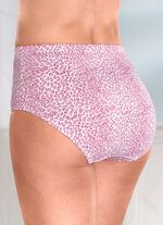 Verpakking met vier slips met roofdierdessin 