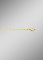 Gouden ankerketting 