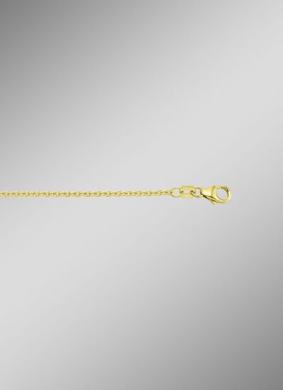 Gouden ankerketting 