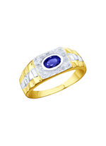 Partnerring in bicolor 