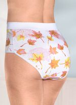 Vijfpack corrigerende slips met verstevigde buikzone 