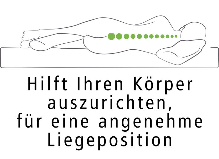 Dreamolino Swan Pillow kussen voor het hele lichaam 