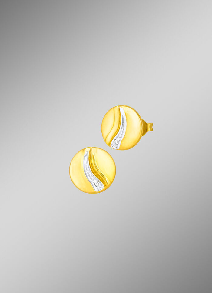 Chique oorbellen in bicolor met 2 diamanten 